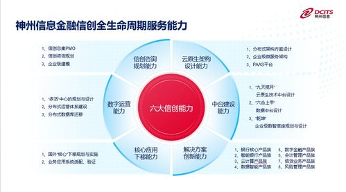 神州信息核心業(yè)務(wù)系統(tǒng)再獲重量級信創(chuàng)認證，信息咨詢服務(wù)實力彰顯