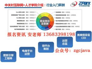 中關(guān)村互聯(lián)網(wǎng)營(yíng)銷(xiāo)與大數(shù)據(jù)培訓(xùn) Java技術(shù)賦能與“先就業(yè)后付款”模式解析